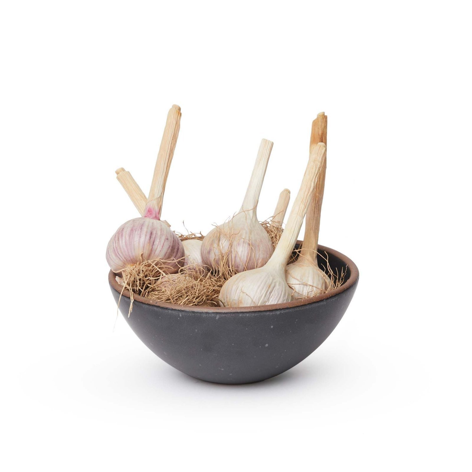 gardengox soup bowl in Graphite, shown with garlic bulbs