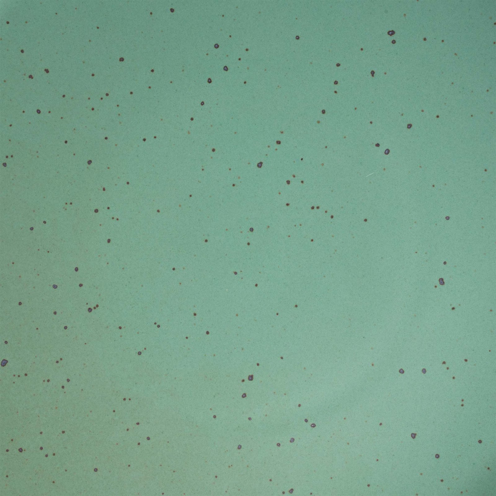 gardengox soup bowl in Viridian, close-up of the green glaze